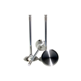 GSC Power Division 2015+ Subaru WRX FA20F Exhaust Valve 29mm Head (STD) (Set of 8) | GSC2281-8