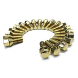 Lug Bolt Cone Seat 14x1.5 - (Full set of 20) - Gold