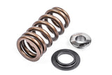 APR APR Valve Spring Kit (1 Set) MS100258