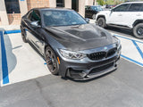 RW Carbon GTS Style Carbon Fiber Hood - BMW / F8X / M3 / M4 by RW Carbon BMWF8X024