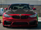 RW Carbon GTS Style Carbon Fiber Hood - BMW / F8X / M3 / M4 by RW Carbon BMWF8X024