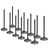 Valve Set Supertech 1.8T 20V Intake Valve Set | AIVN-1103-12
