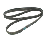 Continental Drive Belt - Mercedes / C240 / C320 / C55 AMG / CL500 / CL55 AMG / CLK320 / & More | 149977192