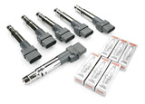 Ignition Tune Up Kit (OEM) | 3.2L 24v VR6 | 022905715B-7563