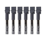OEM Ignition Coil Pack Set - VW/Audi 24v VR6 | 022905715C-KT6