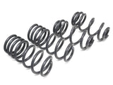034 Motorsport Dynamic+ Lowering Springs | B9 Audi | S4 | 034-404-1005
