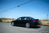 034 Motorsport 034Motorsport Dynamic+ Lowering Springs | B8 | B8.5 | Audi S4 034-404-1002