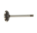 TRW Intake Valve - VW/Audi Mk5 Jetta TDI /  BRM | 038109601E