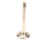 TRW Exhaust Valve - VW/Audi Mk5 Jetta TDI /  BRM | 038109611E