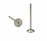 TRW Intake Valve - VW/Audi / TDi / CBEA / CJAA / A3 8P / Beetle / Golf / Jetta / Passat | 03L109601