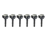 Beru Ignition Coil Pack Set - Audi 2.7T / B5 S4 / C5 A6 & Allroad APB Engine Code Only | 058905105