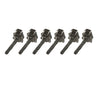 Ignition Coil Pack (Set of 6) - Audi 2.7T / B5 S4 / C5 A6 & Allroad APB Engine Code Only