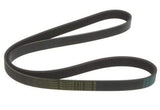 Continental Serpentine Belt Multi-Rib (6DK-1264) | 24v VR6 w/o A | C | 066145933K