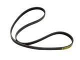 Continental Drive Belt - Alternator | VW/Audi | B5 | 1.8T | 06B903137E