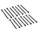 Complete Cylinder Head Bolt Set - VW/Audi / 3.2L V6 / 3.0T / B7 / B8 / A4 / A5 / S4 / S5 / & More | 06E103385