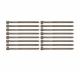 Victor Reinz Complete Cylinder Head Bolt Set - VW/Audi / 3.2L V6 / 3.0T / B7 / B8 / A4 / A5 / S4 / S5 / & More 06E103385-VR-QTY16
