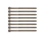 Victor Reinz Cylinder Head Bolt Set - VW/Audi / 3.2L V6 / 3.0T / B7 / B8 / A4 / A5 / S4 / S5 / & More 06E103385-VR-QTY8