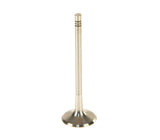 TRW Intake Valve  - VW/Audi 2.5L / Rabbit / Jetta / Golf / Beetle / Passat | 06E109601Q