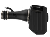 AFE aFe Momentum GT Pro DRY S Cold Air Intake System 17-18 Nissan Titan V8 5.6L 51-76108