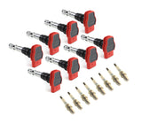OEM Ignition Coilpack (OEM) and Spark Plug Kit | Audi 4.2L V8 | 077905115T