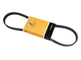 Continental Drive Belt for Air Conditioner | Mk6 Jetta | B7 Passat 2.5L | 07K145933G