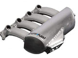 Apikol Intake Manifold - Audi B5 | B6 | 1.8T | 09A0190