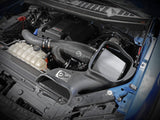 AFE aFe 17-20 Ford F-150/Raptor Track Series Carbon Fiber Cold Air Intake System With Pro DRY S Filters 57-10010D
