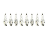 VW/Audi Spark Plug Set - VW/Audi / 4.2L V8 / C6 A6 / D3 / D4 / A8 / B8 S5 / 4L Q7 / Touareg 2 | 101905621B-KT8
