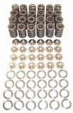 Valve Spring kit with Titanium Retainers by Techtonics | 24v VR6 | 109 086