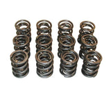 Techtonics High-Lift Valve Springs for 12v VR6 (set of 12) - For 288 to 316 Cams | 109-082HL