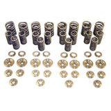 Techtonics Tuning 1.8T 20v | H.D. Valve Spring Kit with Titanium Retainers | 109 087