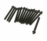 Victor Reinz Cylinder Head Bolt Kit (10x95mm) - BMW / M50 / M52 / S50 / S52 / S54 | 11121721938