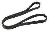 Continental Serpentine Belt (Alt | Ps | WP) | E46 | E39 | 11281437475