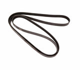 Continental Drive Belt - BMW / M50 / M52 / S50 / S52 | 11287636378