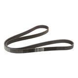 Continental Accessory Belt - BMW E39 / E46 / E53 / E6x / E83 / Z3 (many models check fitment) | 11287636379