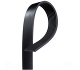 Accessory Belt - BMW / S55 / F8X / M3 / M4 / M2 Competition | 11287848605