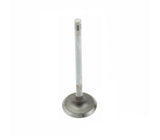 TRW Intake Valve - BMW M54 / E39 / E46 / E53 / E60 / E83 / Z3 / Z4 (many models check fitment) | 11341438385