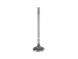 Kolbenschmidt Intake Valve - MINI Cooper Base / R50 / R52 | 11347513023