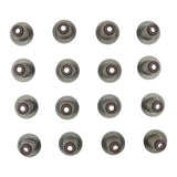 Engine Valve Stem Oil Seal Set | 12-10030-01