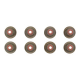Engine Valve Stem Oil Seal Set | 12-10036-01