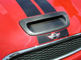 Racing Dynamics Racing Dynamics Carbon Fiber Hood Scoop - Gen 2 R5X Mini 121.18.56.050