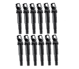 Eldor Ignition Coilpack Set - BMW / N73 / N74 12138616153-ELD-KT12