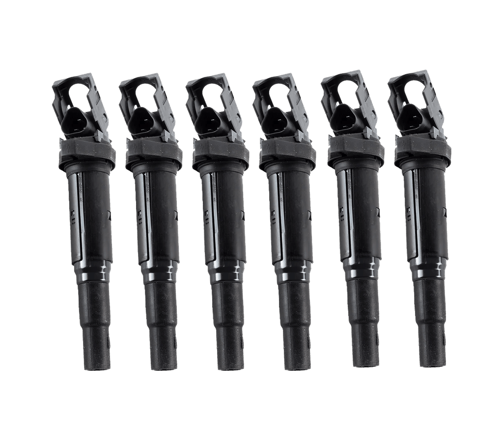Eldor Ignition Coilpack Set - BMW / M54 / N52 / N54 / N55 / S54 / S55 ...