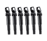 Eldor Ignition Coilpack Set - BMW / M54 / N52 / N54 / N55 / S54 / S55 | 12138616153-KT6