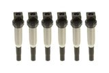 Delphi Set of 6 Ignition Coilpack Set |  BMW N20 N52 N54 N55 | MINI N16 12138616153-set-2