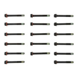 Engine Cylinder Head Bolt Set | 14-10038-01