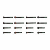 Engine Cylinder Head Bolt Set | 14-10064-01