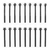 Engine Cylinder Head Bolt Set | 14-10117-01