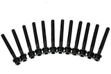 Victor Reinz Cylinder Head Bolts (Set of 10) - VW / Mk5 & Mk6 TDI (2009+) | 14-32299-01