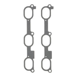 Fuel Injection Plenum Gasket Set | 15-10296-01